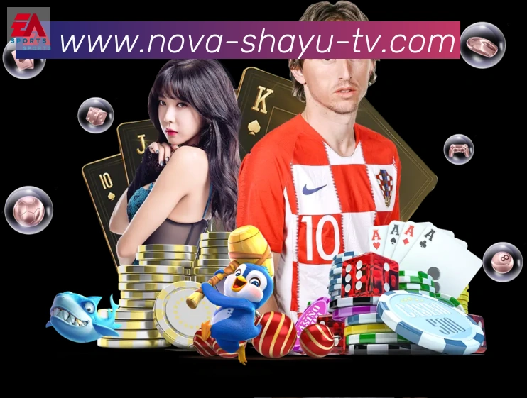 App功能展示图